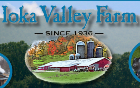 Logo or Graphic