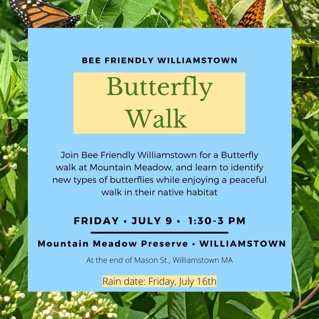 BUTTERFLY WALK AND GREEN RIVER CLEANUP