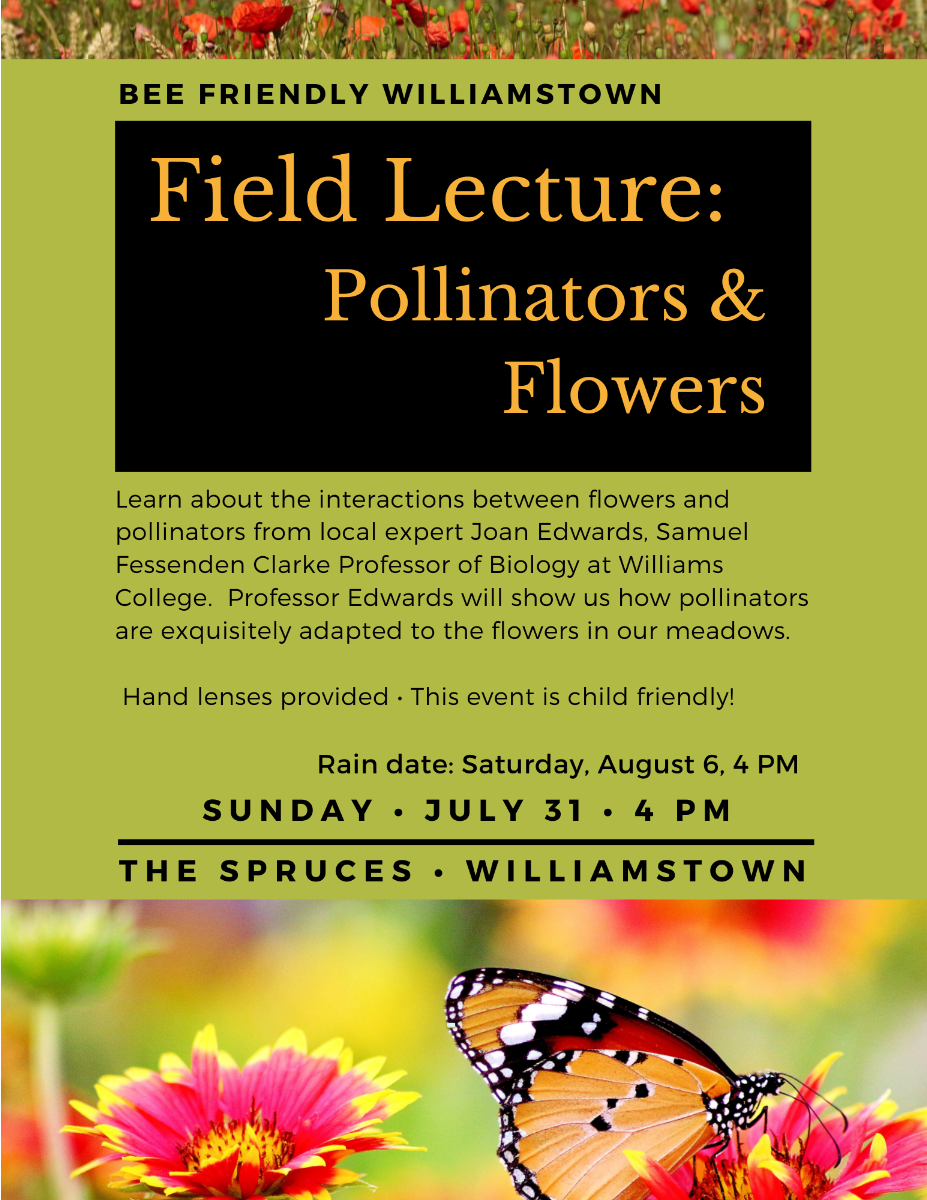 POLLINATORS AND FLOWERS TOMORROW AT 4PM AT THE SPRUCES